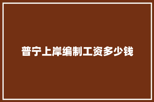 普宁上岸编制工资多少钱 合同协议