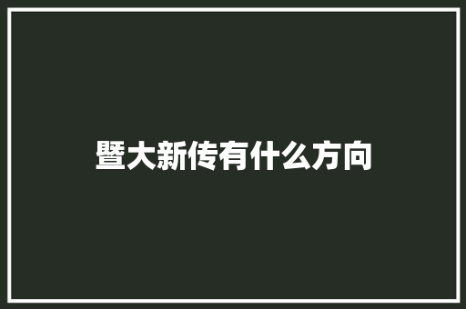 暨大新传有什么方向