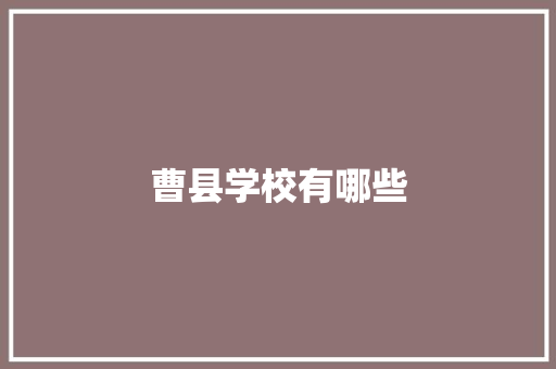 曹县学校有哪些