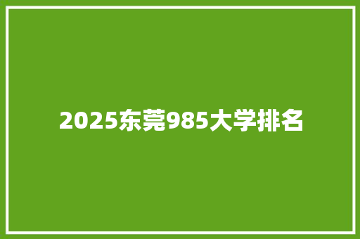 2025东莞985大学排名