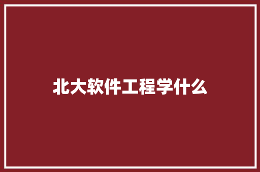 北大软件工程学什么