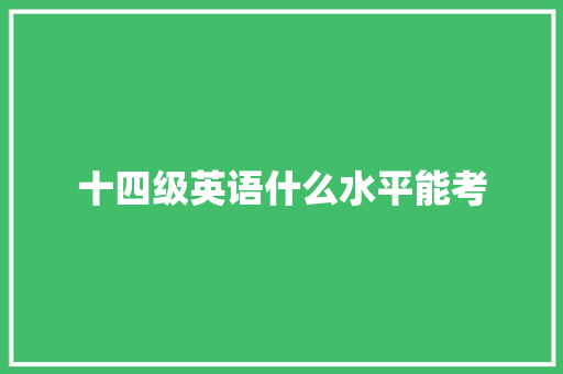十四级英语什么水平能考