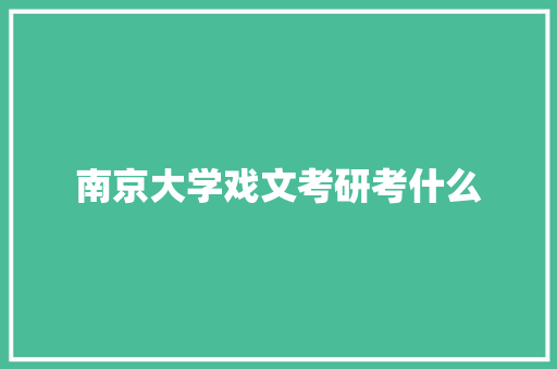 南京大学戏文考研考什么