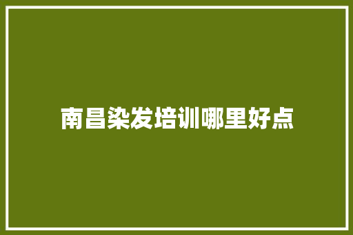南昌染发培训哪里好点