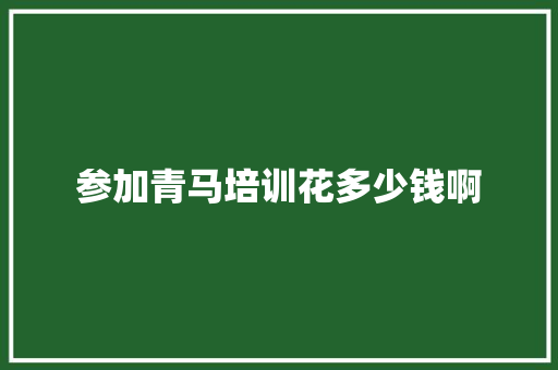 参加青马培训花多少钱啊