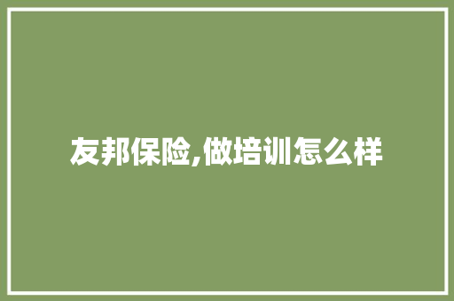 友邦保险,做培训怎么样