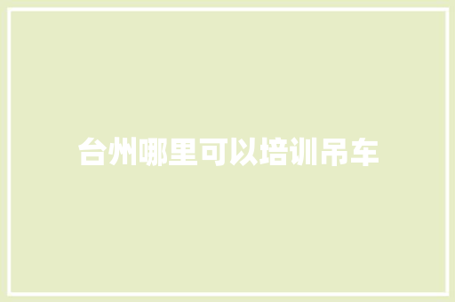 台州哪里可以培训吊车