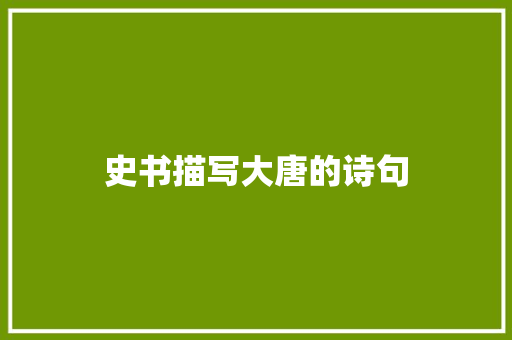 史书描写大唐的诗句