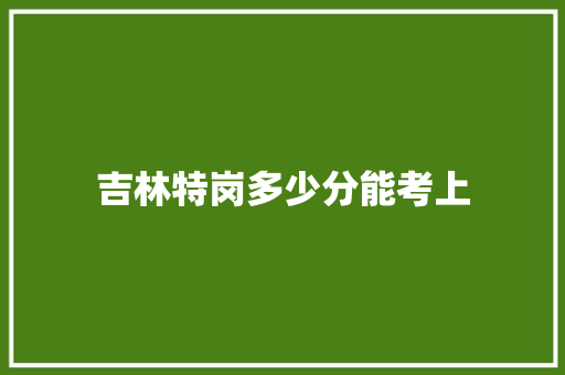 吉林特岗多少分能考上