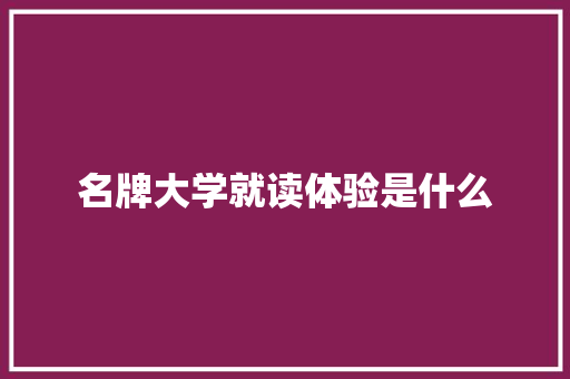 名牌大学就读体验是什么