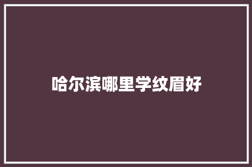 哈尔滨哪里学纹眉好