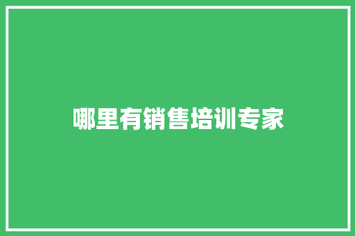 哪里有销售培训专家