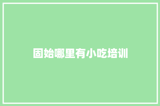 固始哪里有小吃培训