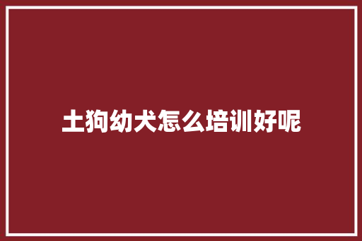 土狗幼犬怎么培训好呢