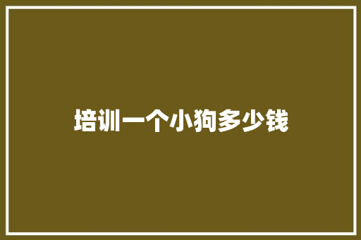 培训一个小狗多少钱