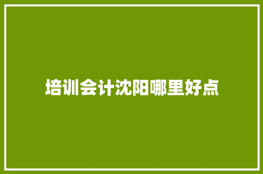 培训会计沈阳哪里好点