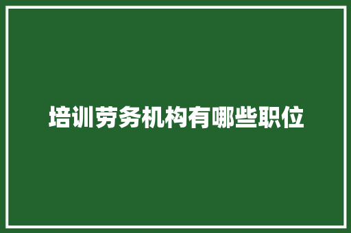 培训劳务机构有哪些职位