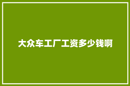大众车工厂工资多少钱啊