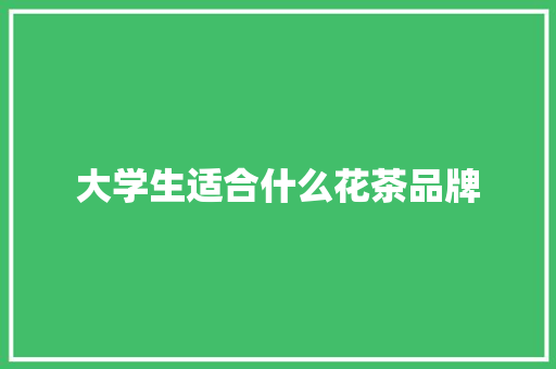 大学生适合什么花茶品牌