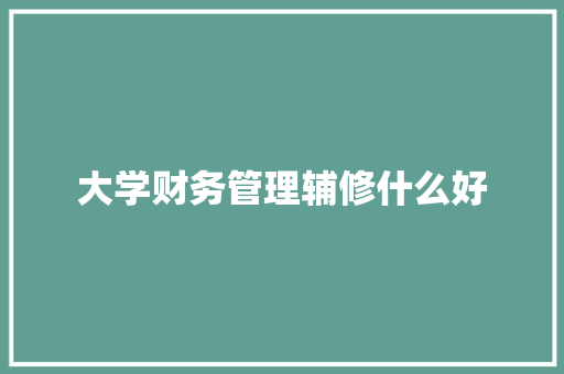 大学财务管理辅修什么好