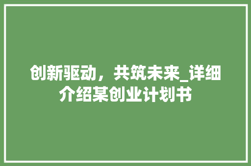 创新驱动，共筑未来_详细介绍某创业计划书