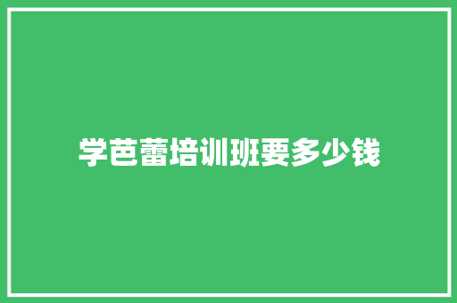 学芭蕾培训班要多少钱