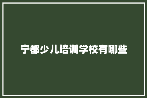 宁都少儿培训学校有哪些