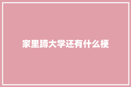 家里蹲大学还有什么梗