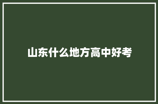 山东什么地方高中好考