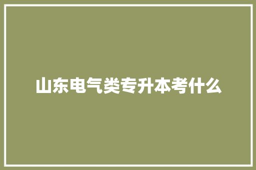 山东电气类专升本考什么
