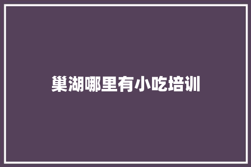 巢湖哪里有小吃培训