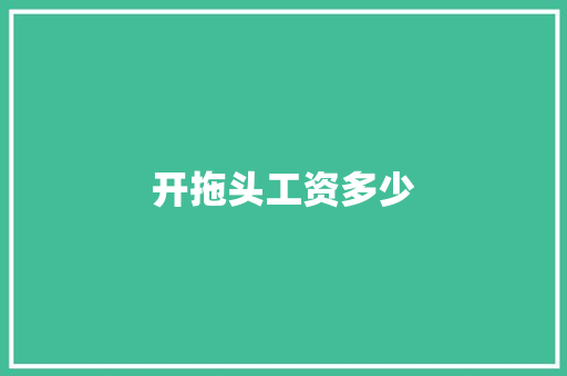 开拖头工资多少
