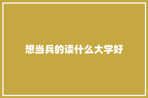 想当兵的读什么大学好