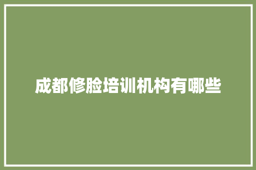 成都修脸培训机构有哪些