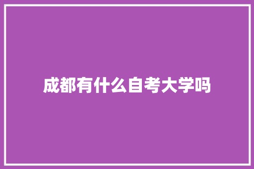 成都有什么自考大学吗