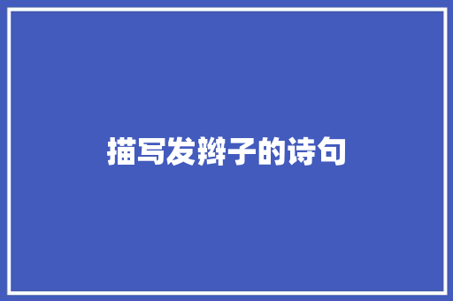 描写发辫子的诗句