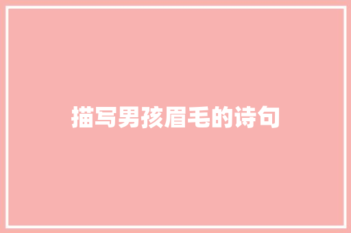 描写男孩眉毛的诗句