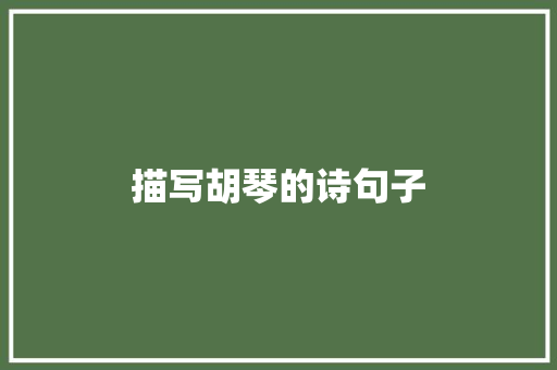 描写胡琴的诗句子