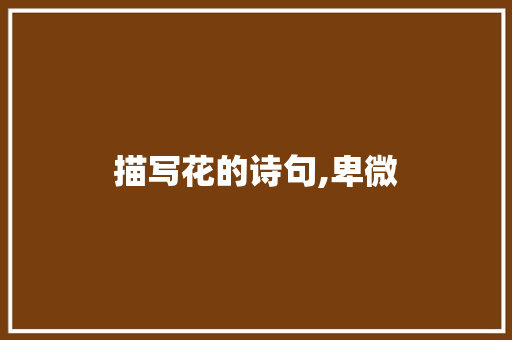 描写花的诗句,卑微