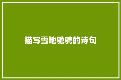 描写雪地驰骋的诗句