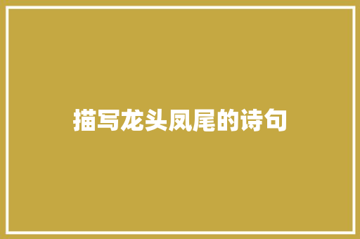 描写龙头凤尾的诗句