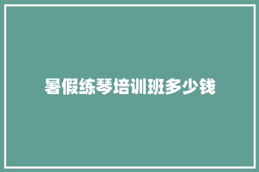 暑假练琴培训班多少钱
