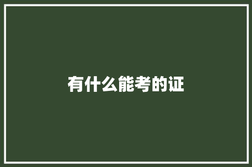 有什么能考的证
