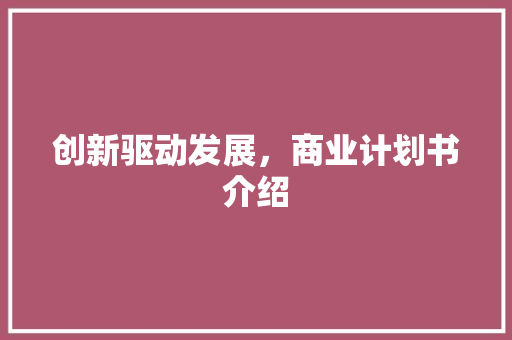 创新驱动发展，商业计划书介绍