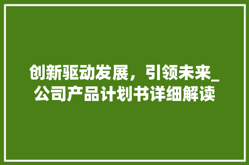 创新驱动发展，引领未来_公司产品计划书详细解读