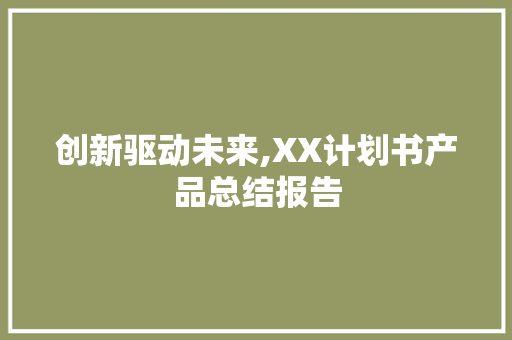 创新驱动未来,XX计划书产品总结报告