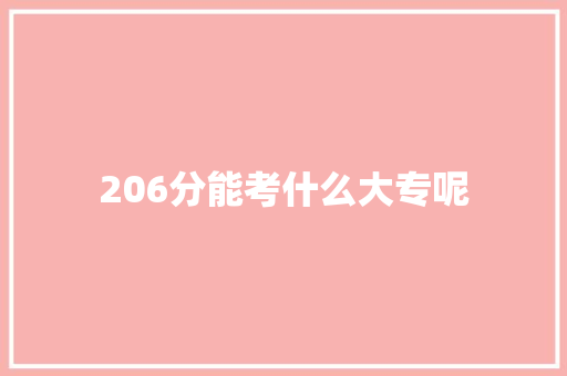 206分能考什么大专呢