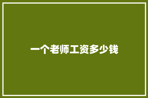 一个老师工资多少钱