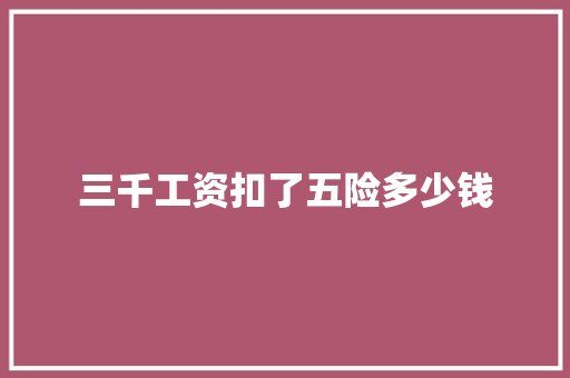三千工资扣了五险多少钱