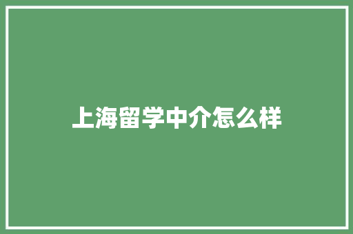 上海留学中介怎么样